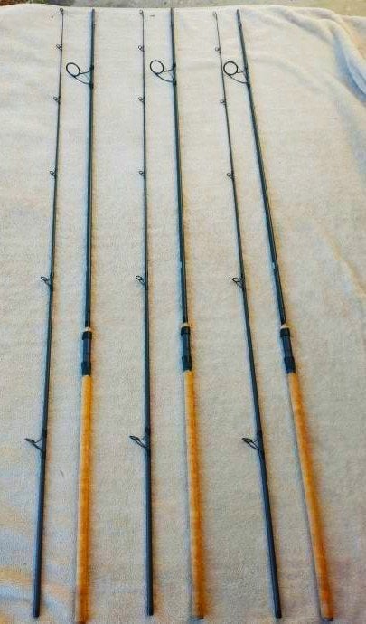 3 DAIWA Cast´Izm Carpe 13ft 3,5lbs (+ starbaits XL possible), Sports nautiques & Bateaux, Pêche à la ligne | Carpes, Enlèvement