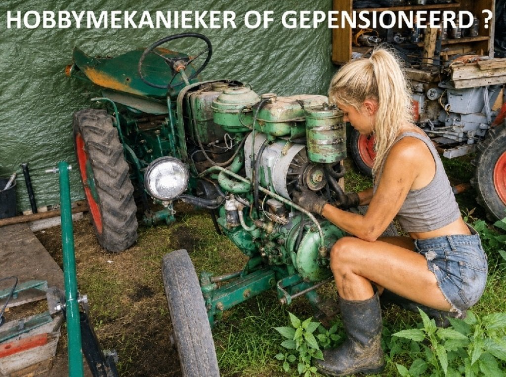 ZOEK MEKANIEKER VOOR HOBBYVERZAMELING OLDTIMER MINITRACTOREN, Articles professionnels, Machines & Construction | Générateurs, Enlèvement