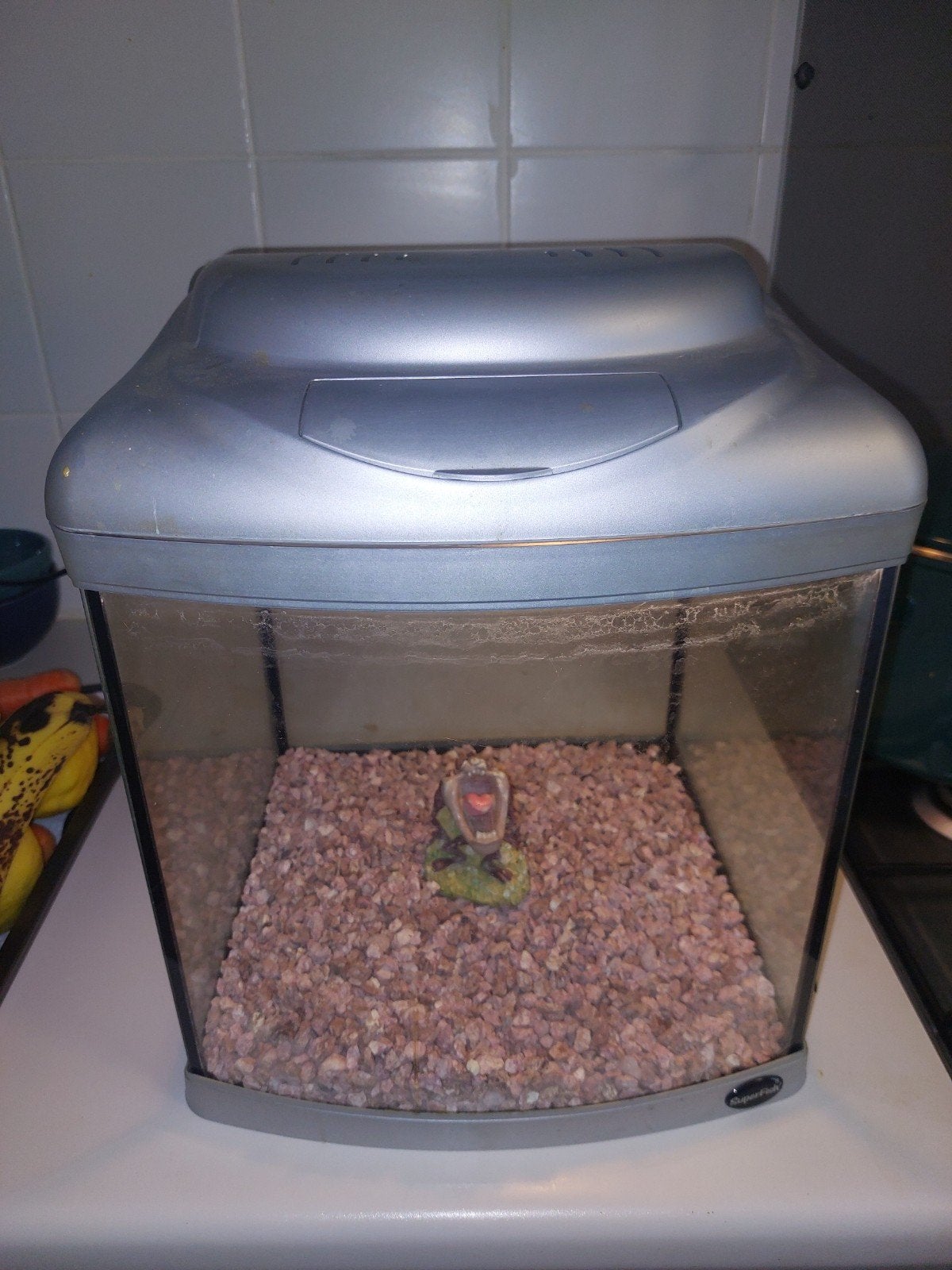 Aquarium klein 30*27*30 Superfish, Dieren en Toebehoren, Ophalen, Superfish