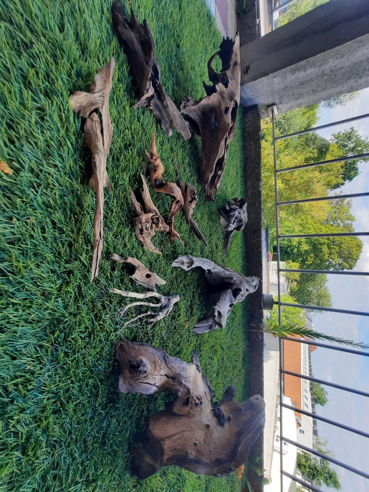 Bois pour aquarium, Enlèvement
