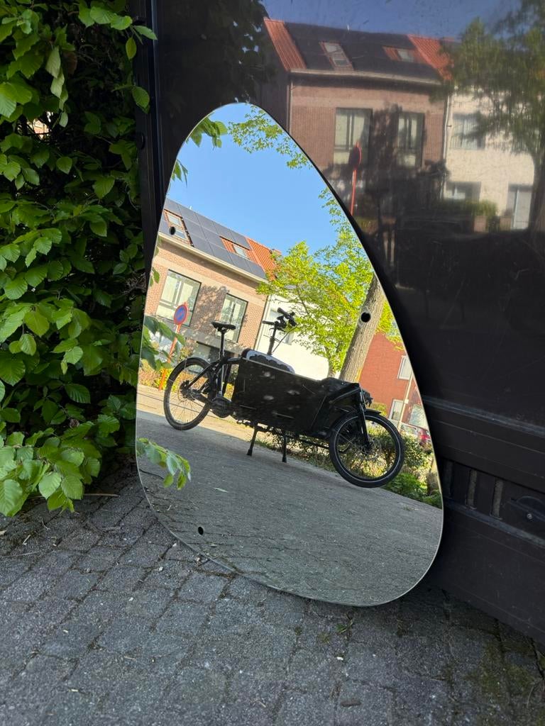 Vintage niervormige spiegel, Ophalen, Gebruikt, Minder dan 100 cm, Overige vormen