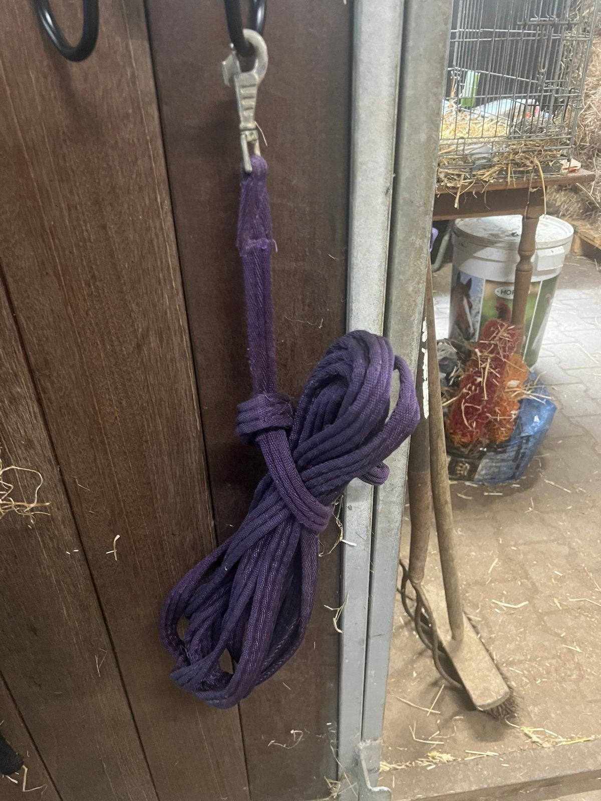 Longeer touw te koop, Dieren en Toebehoren, Paarden en Pony's | Hoofdstellen en Tuigage, Ophalen, Zo goed als nieuw, Paars