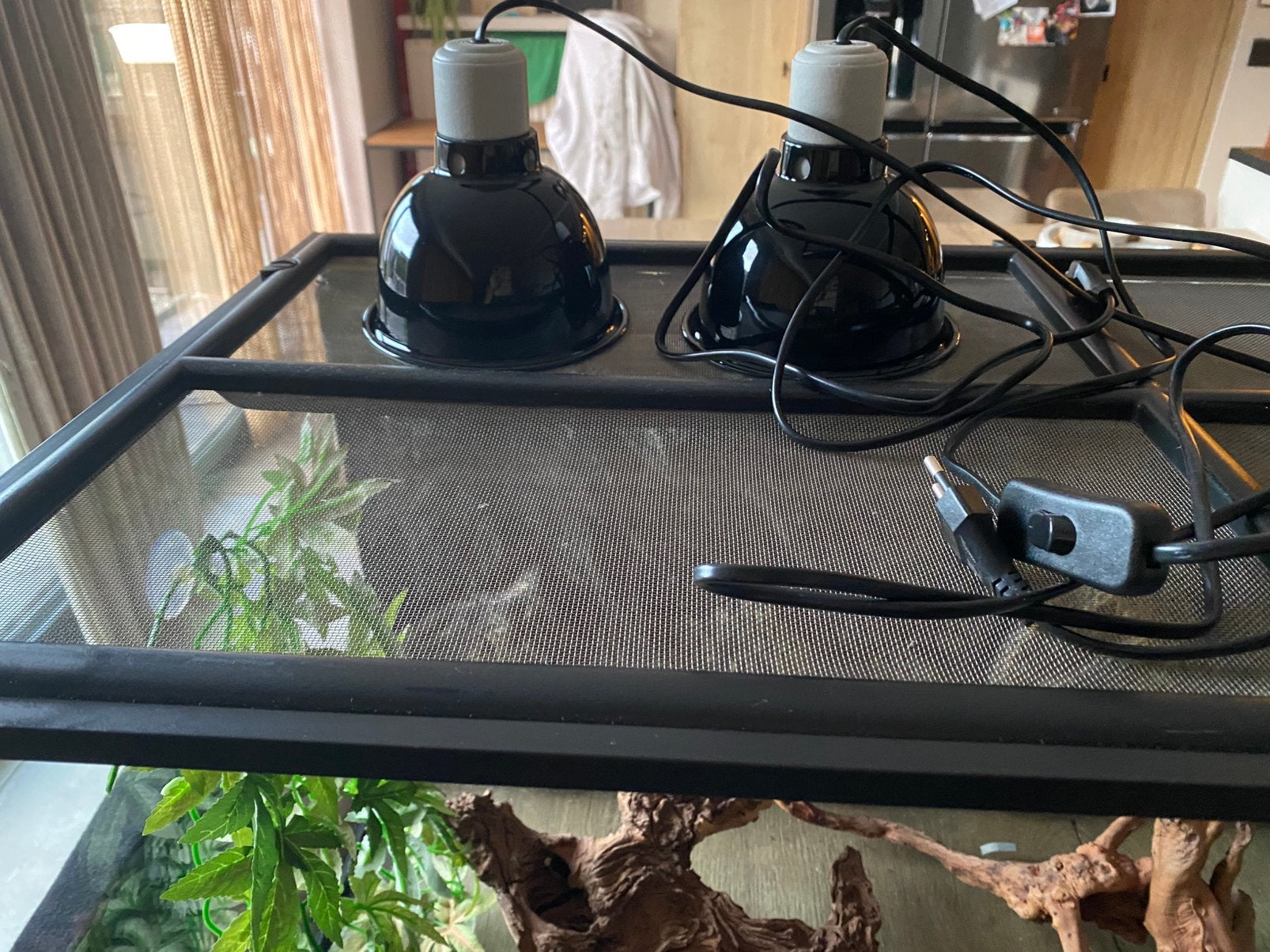 Terrarium, Enlèvement, Utilisé, Terrarium ou Paludarium