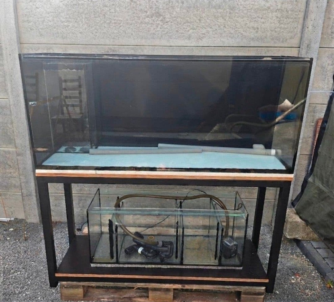 aquarium met bioloog, Dieren en Toebehoren, Ophalen, Filter, Eheim