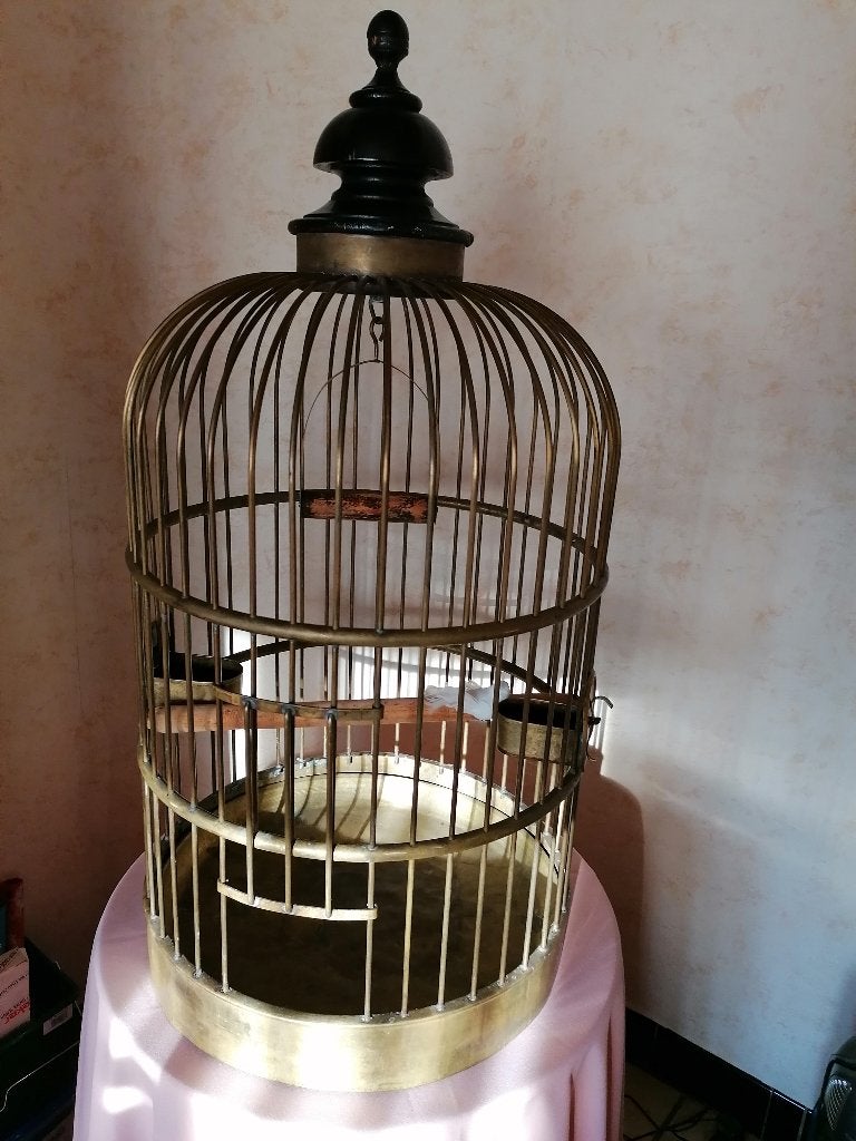 Koper vogelkooi, Dieren en Toebehoren, Ophalen, Vogelkooi