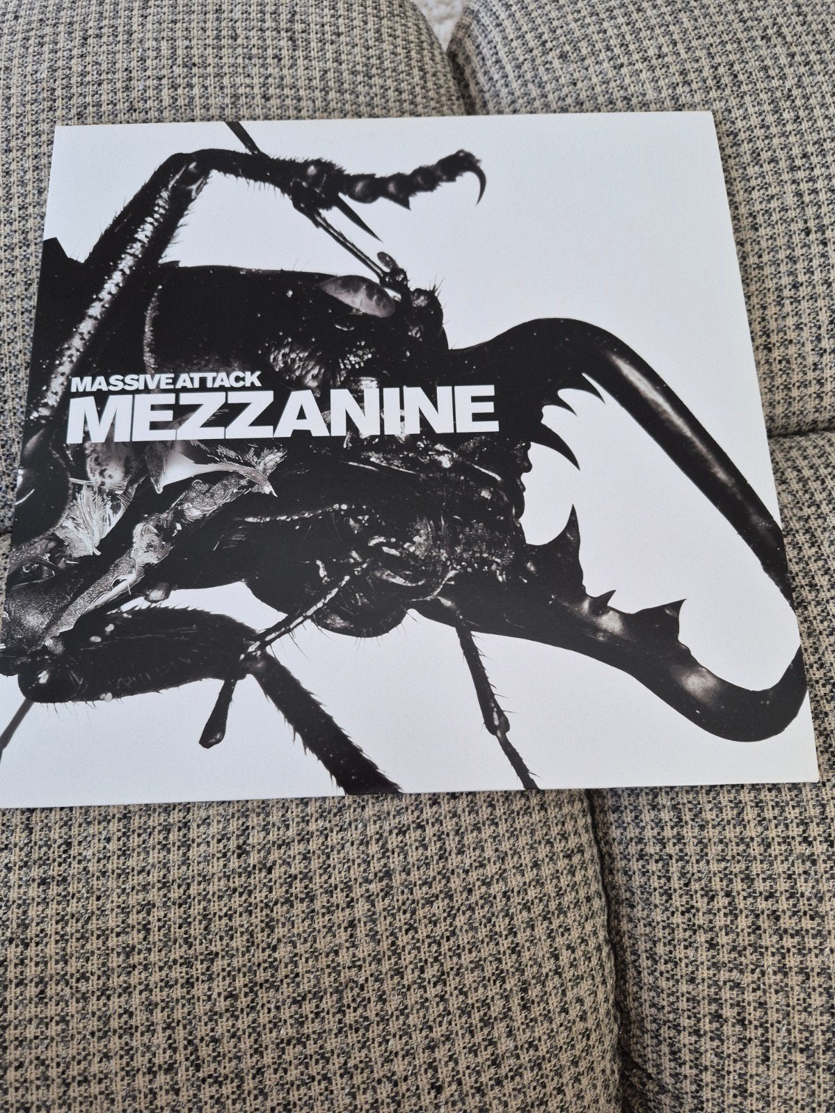 LP de la mezzanine Massive Attack, Enlèvement, LP
