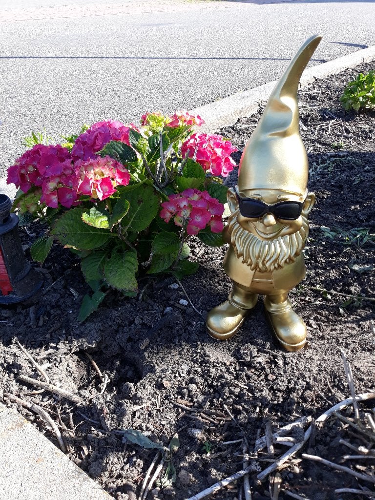 Tuinkabouter goud met zwarte zonnebril, Jardin & Terrasse, Statues de jardin, Neuf, Nain de jardin, Synthétique, Enlèvement ou Envoi
