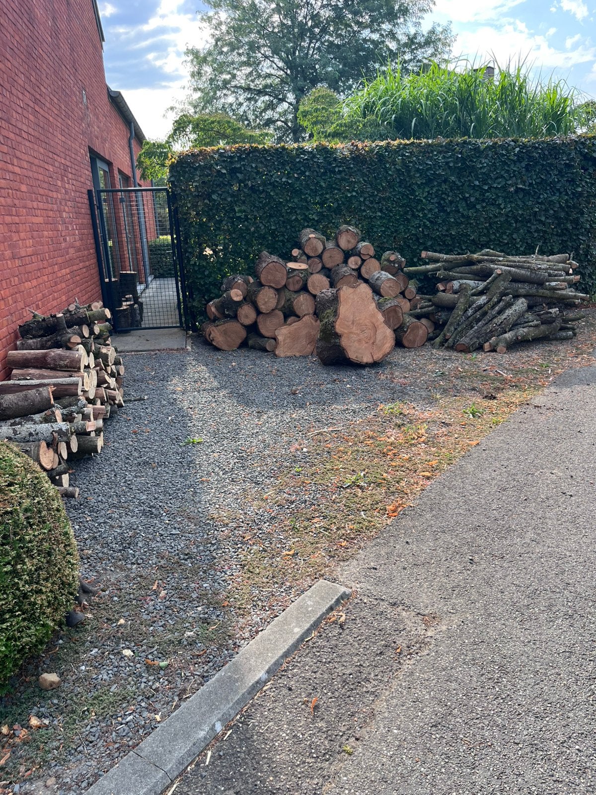 Brandhout kerselaar, Tuin en Terras, Ophalen