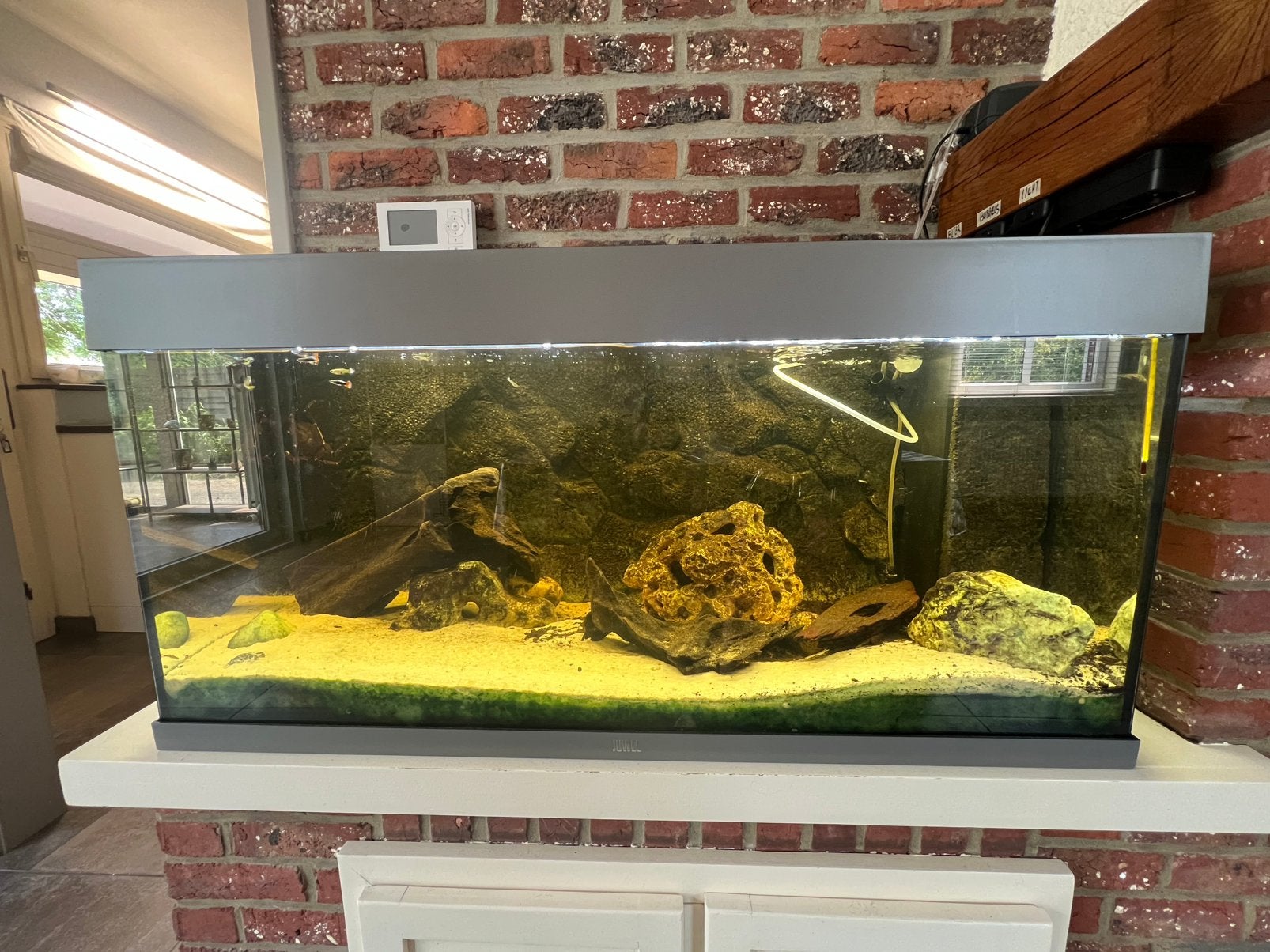 Juwel Rio 180 LED aquarium te koop, Aquarium d'eau douce rempli, Comme neuf, Poissons inclus, Enlèvement
