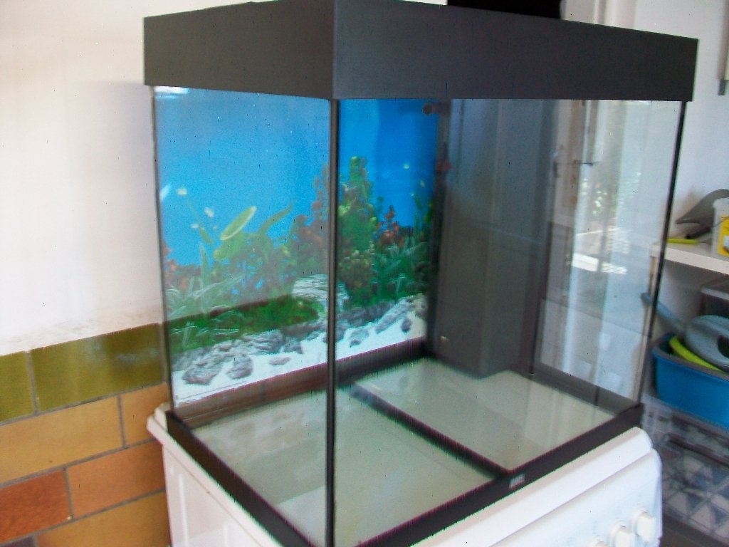 juwel aquarium lido 120 led zwart, Couvercle inclus, Aquarium vide, Enlèvement, Utilisé