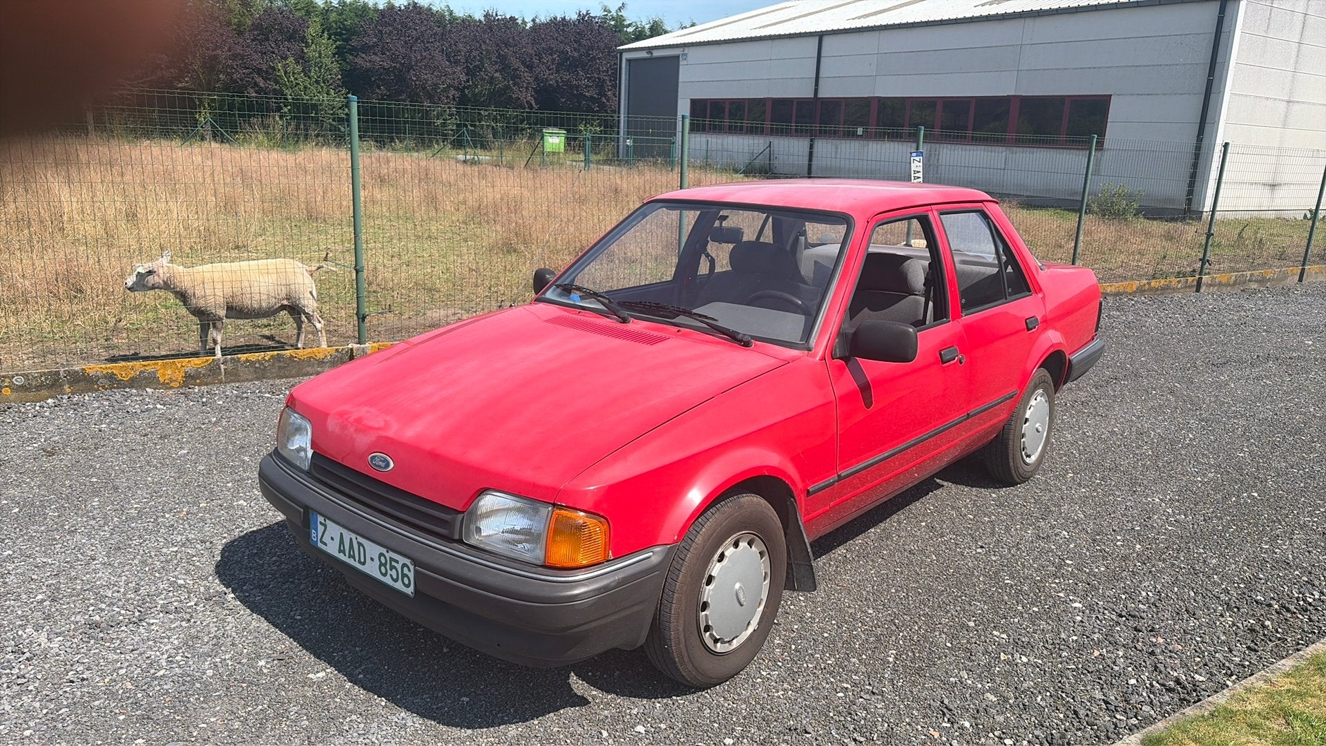 Ford orion oldtimer, Auto's, Ford, Overige modellen, 1600 cc, Bedrijf, Diesel