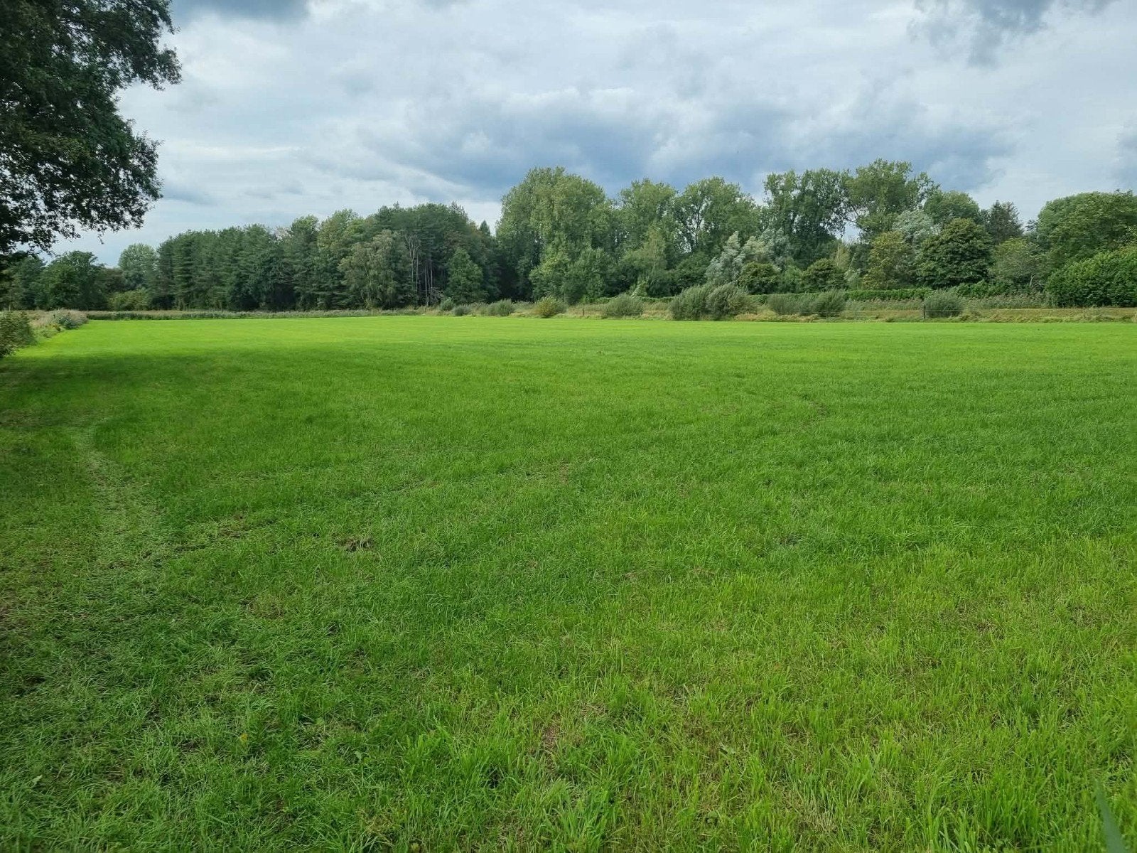 Landbouwgrond (weiland) te koop, Immo, Lille, Verkoop zonder makelaar, 1500 m² of meer