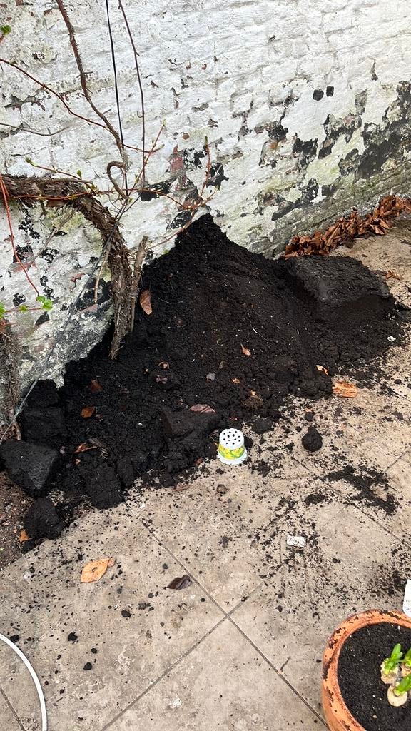Potting grond, Ophalen