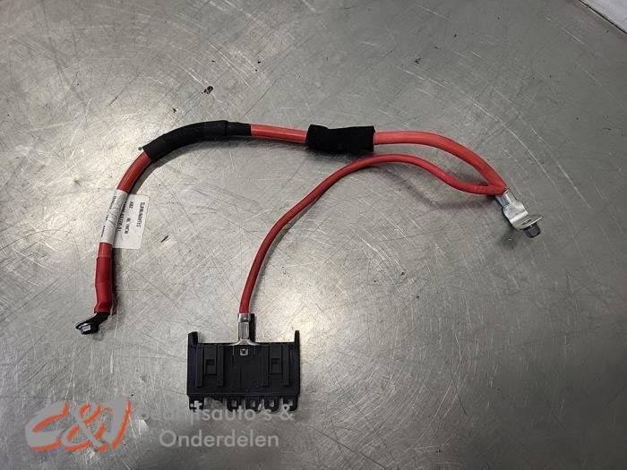 Kabel (diversen) van een Renault Trafic, Gebruikt, -, Renault, -