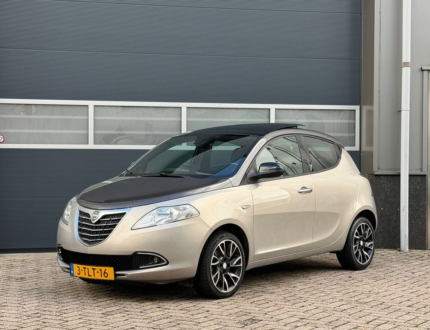 Lancia Ypsilon 0.9 TwinAir Platinum bj.2014 5 Drs|Leder|Clim, Autos, Achat, Beige, 99 g/km, Capteur de stationnement