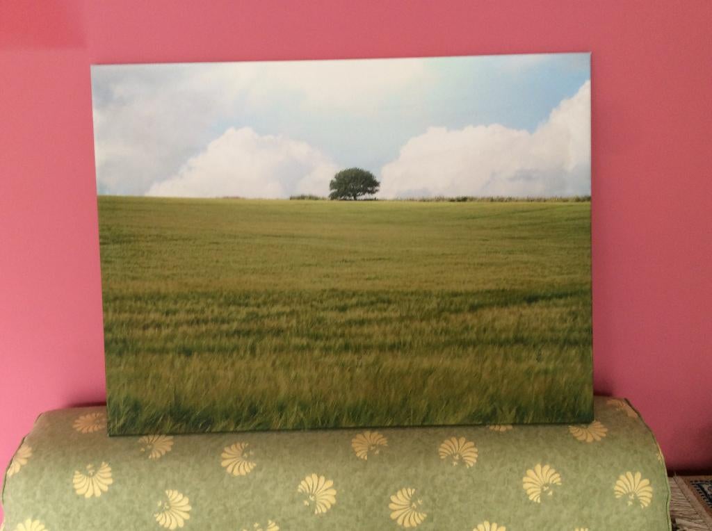 INTERIEUR DECORATIE CANVAS -SCHILDERIJ, Ophalen