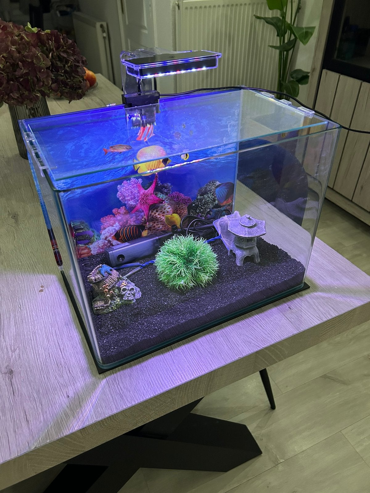 Aquarium, Dieren en Toebehoren, Ophalen, Zo goed als nieuw, Decoratie