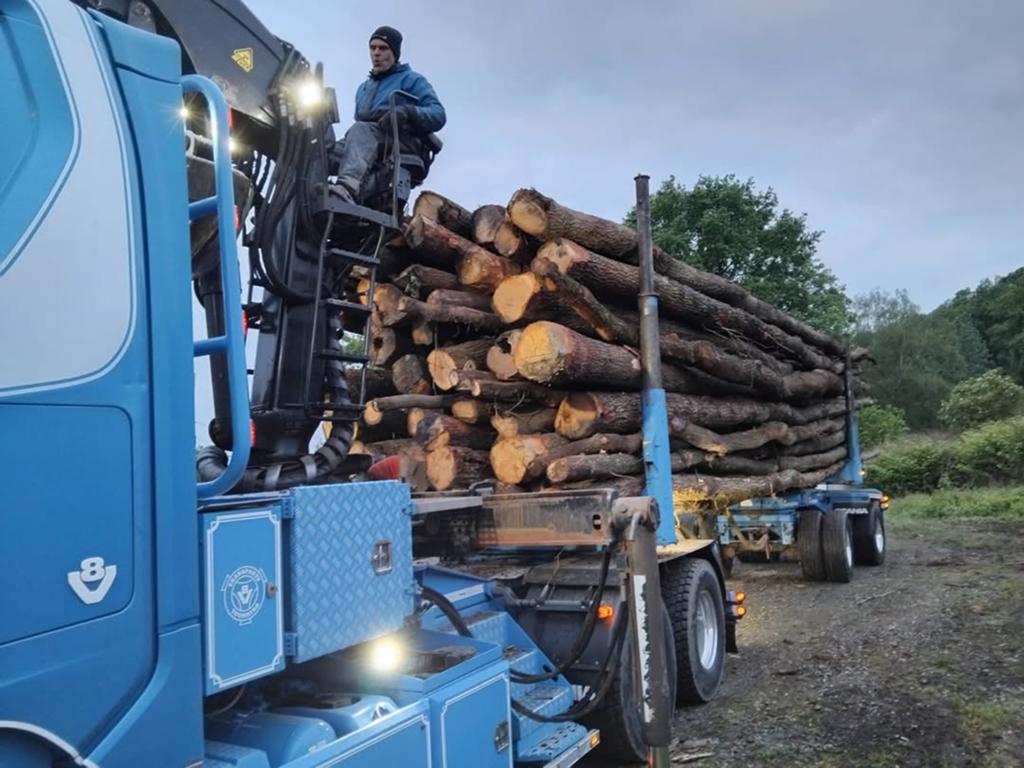 BOIS DE CHAUFFAGE 100% CHÊNE LIVRAISON RAPIDlire annonce, Enlèvement ou Envoi, Chêne