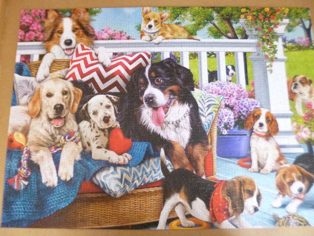 Puzzel 1000 stukjes, Hobby en Vrije tijd, Ophalen of Verzenden, Zo goed als nieuw