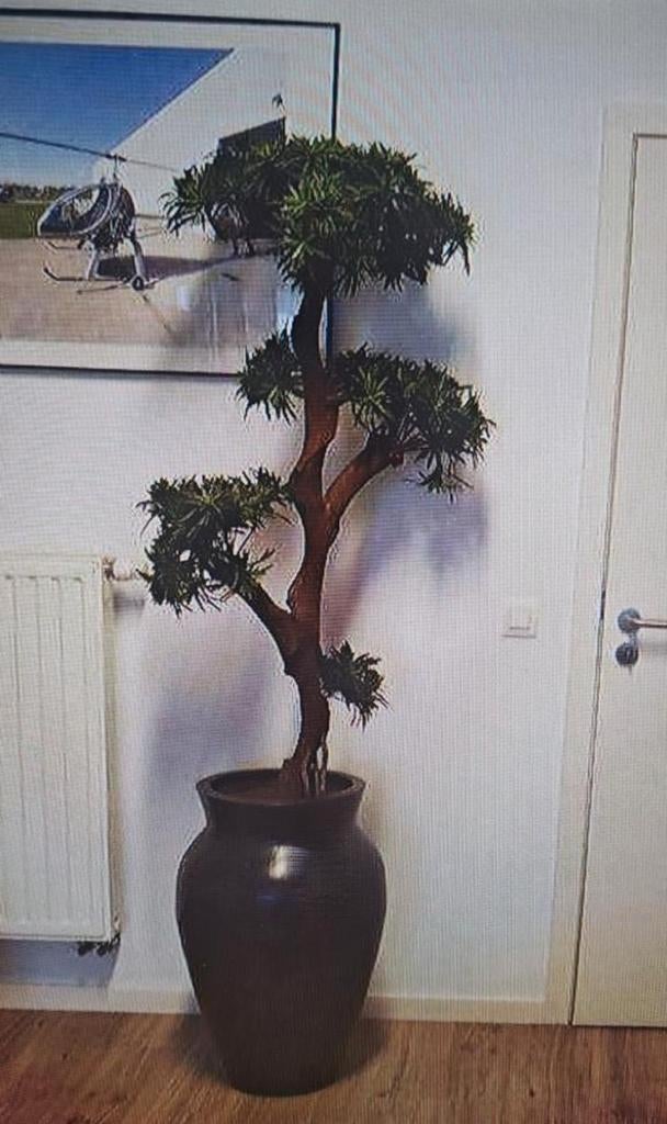 2 vazen met planten, Ophalen