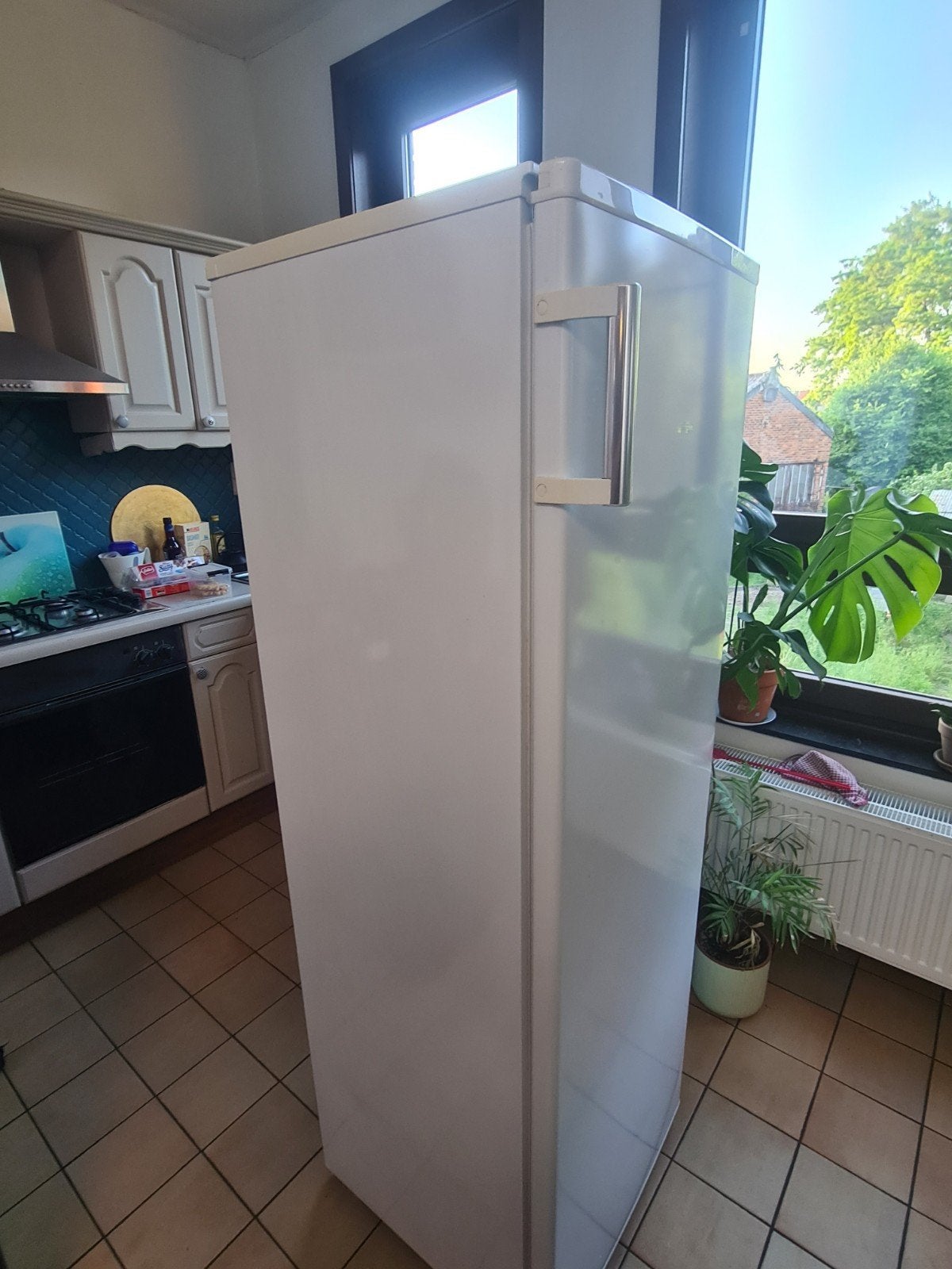 Frigo