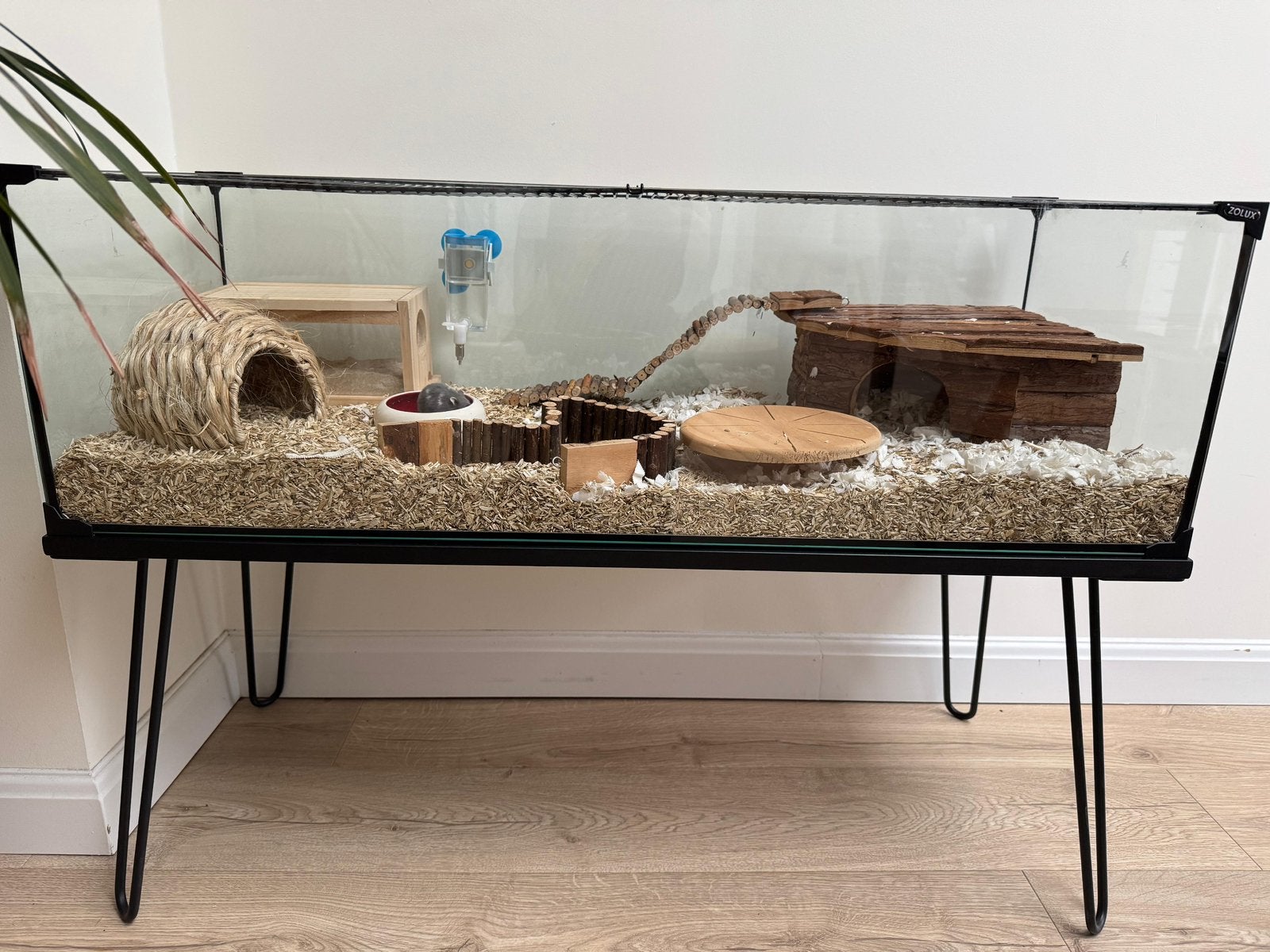 Hamster / konijn/ knaagdier kooi, Dieren en Toebehoren, Ophalen, Zo goed als nieuw, Kooi, Hamster