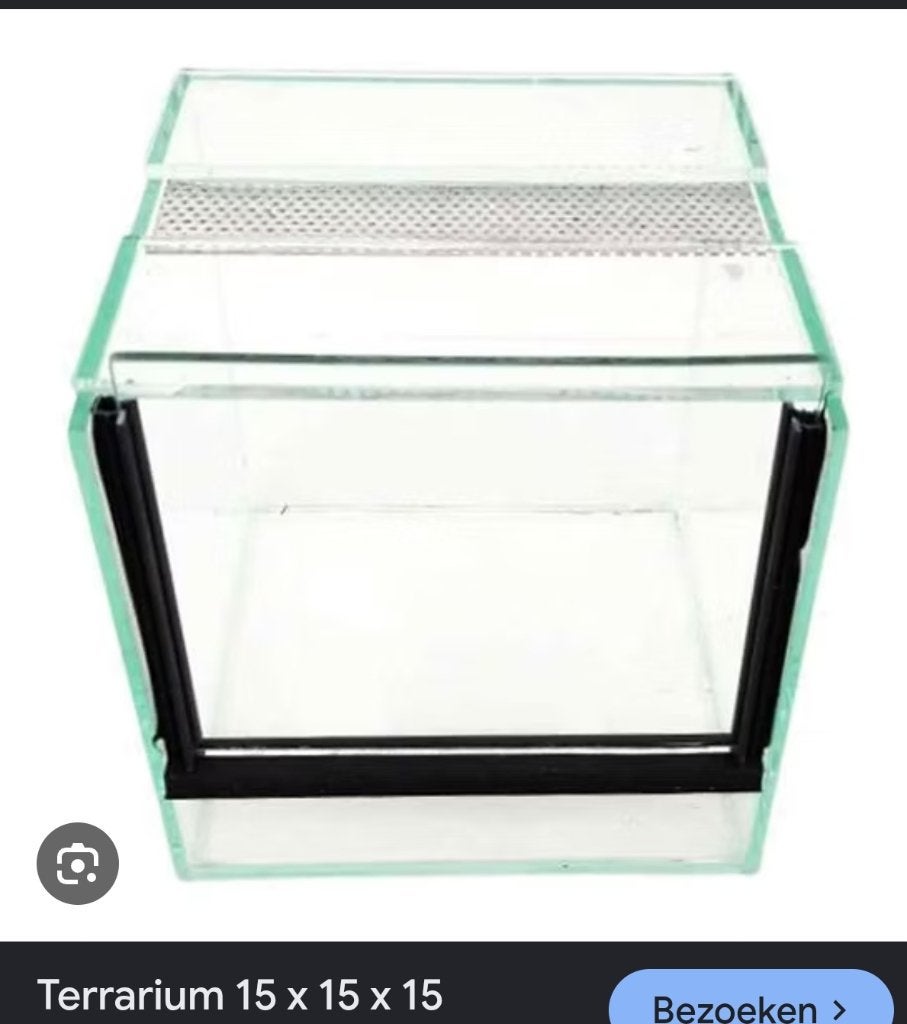 Ik zoek een glazen Terrarium 15*15*15, Dieren en Toebehoren, Ophalen