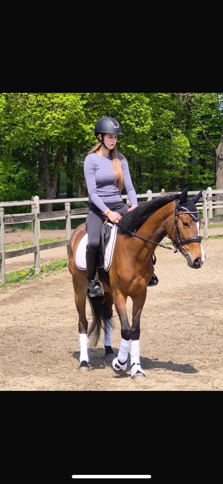 Vierjarige sportpony, Animaux & Accessoires, Chevaux