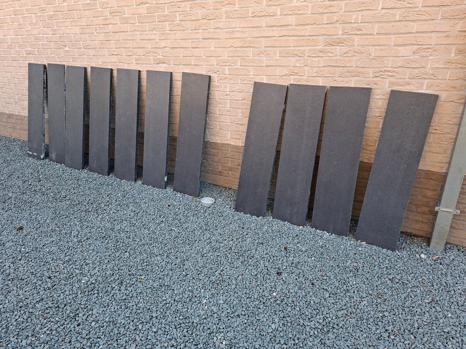 11 bordures pour le bord de l'étang, Enlèvement