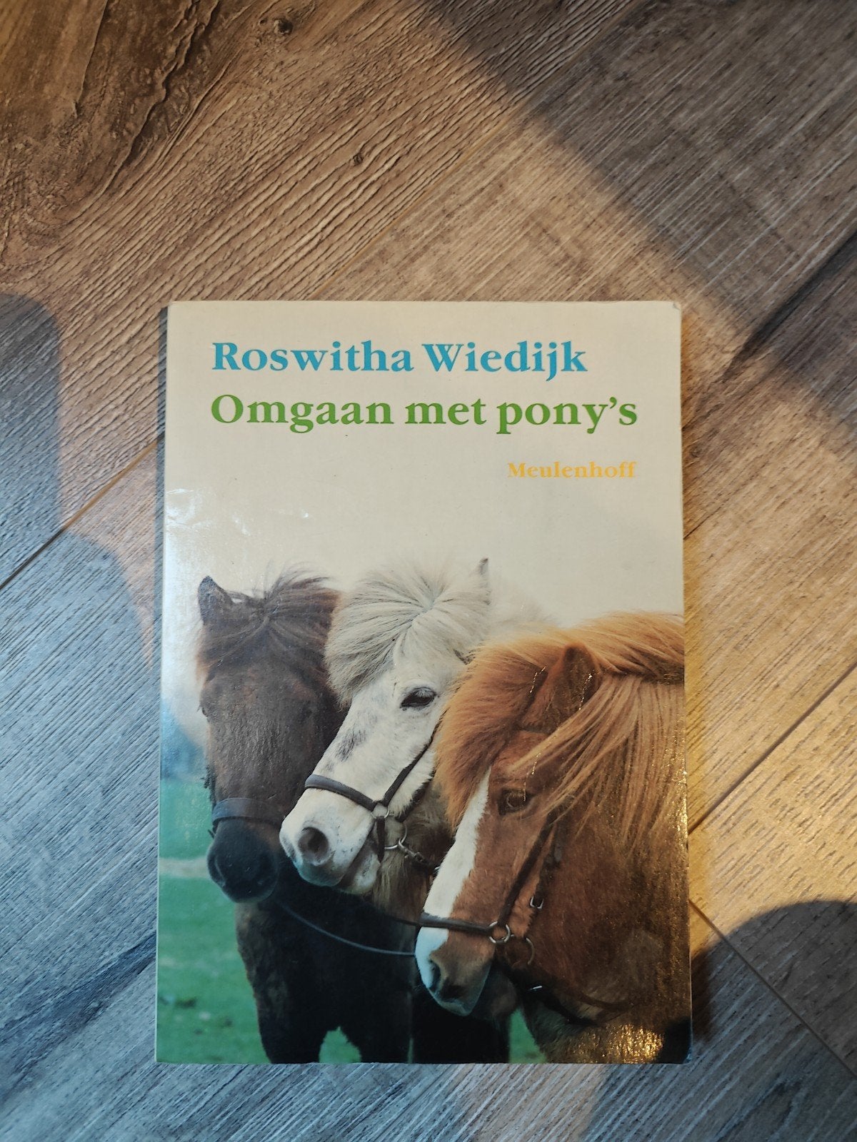 Omgaan met pony's, Ophalen