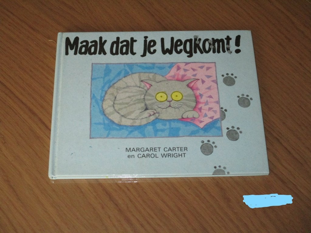 boek maak dat je wegkomt, Boeken, Ophalen of Verzenden, Zo goed als nieuw, 6 tot 12 maanden