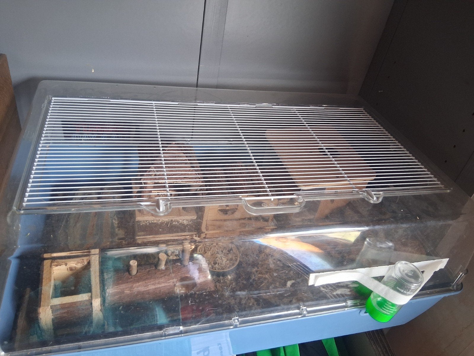 Hamster avec cage, Animaux & Accessoires, Enlèvement, Cage, Hamster
