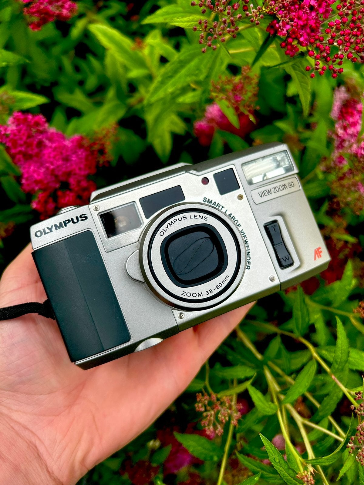 Vintage Tested & Working Olympus Vieuw Zoom 80 Point & Shoot, Audio, Tv en Foto, Fotocamera's Analoog, Ophalen of Verzenden, Zo goed als nieuw