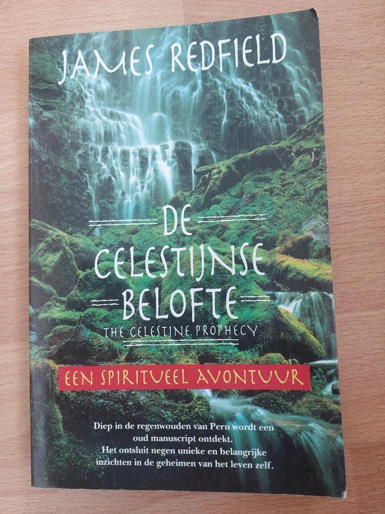 James Redfield : De Celestijnse belofte, Enlèvement ou Envoi