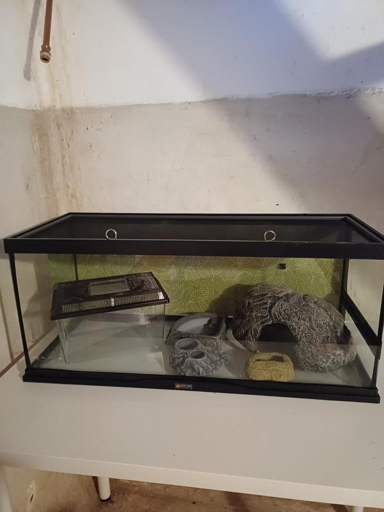 Terrarium, Dieren en Toebehoren, Ophalen