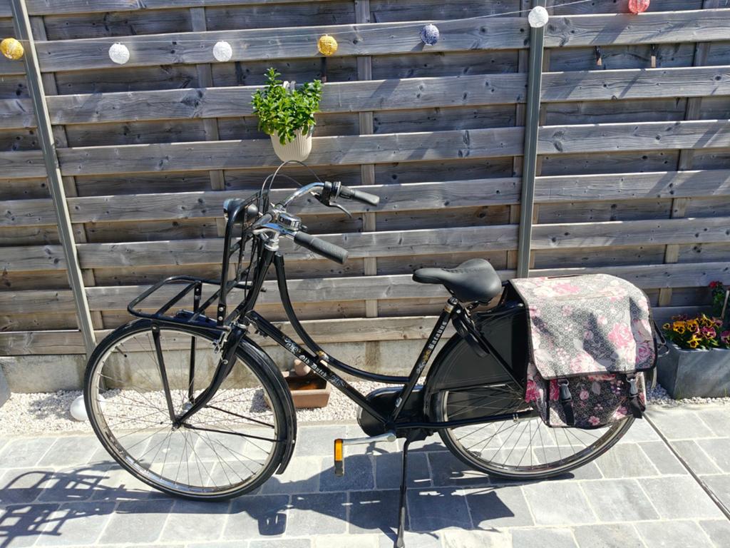 Old Dutch damesfiets, Ophalen, Terugtraprem, Versnellingen