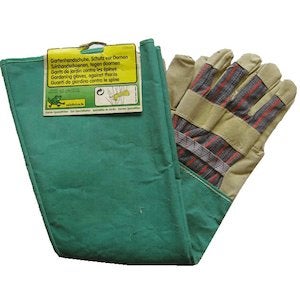 ROZENHANDSCHOEN LANG EN STERK 60 CM, Ophalen of Verzenden, Nieuw
