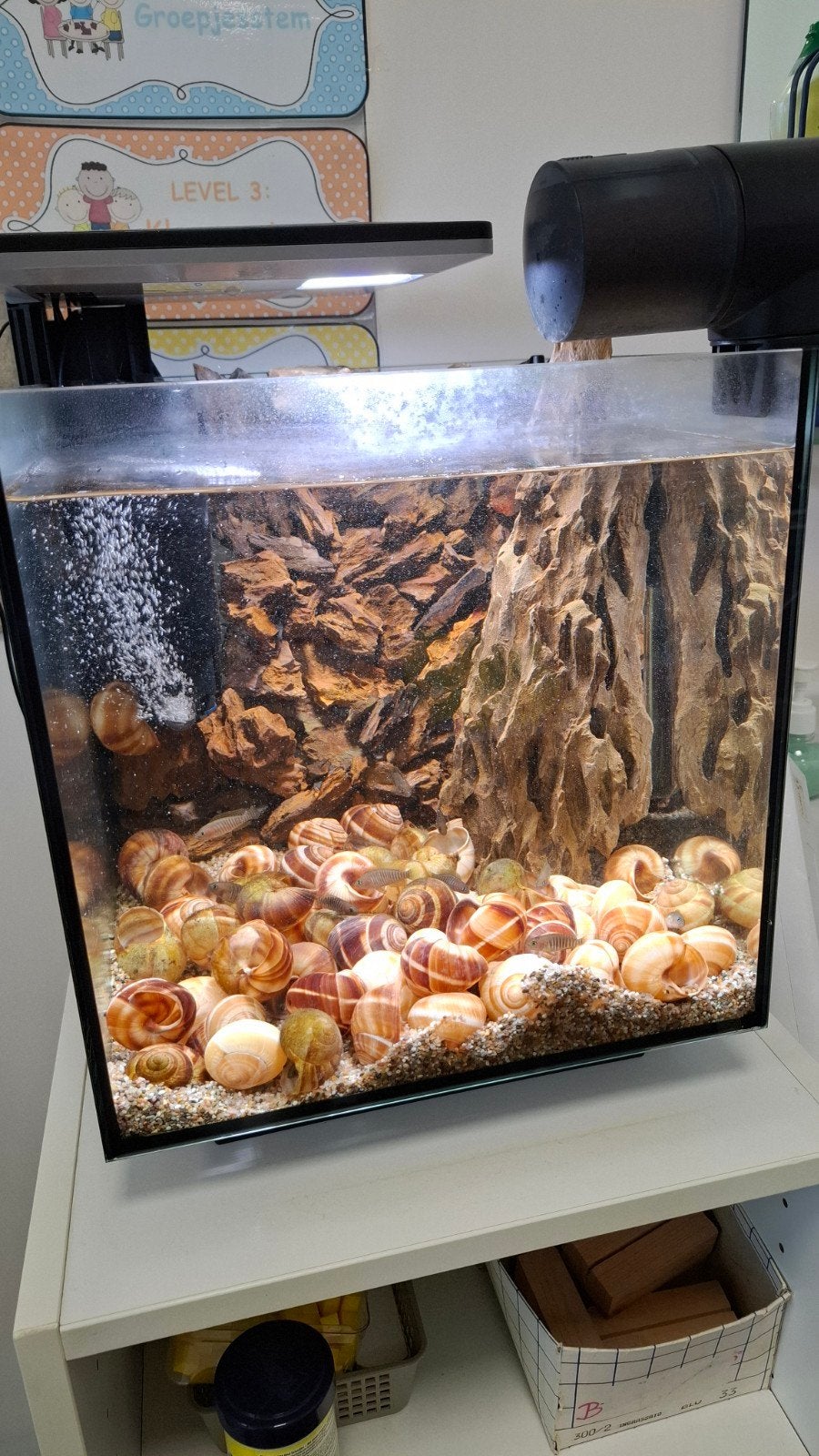 Compleet aquarium te koop, Ophalen, Verlichting