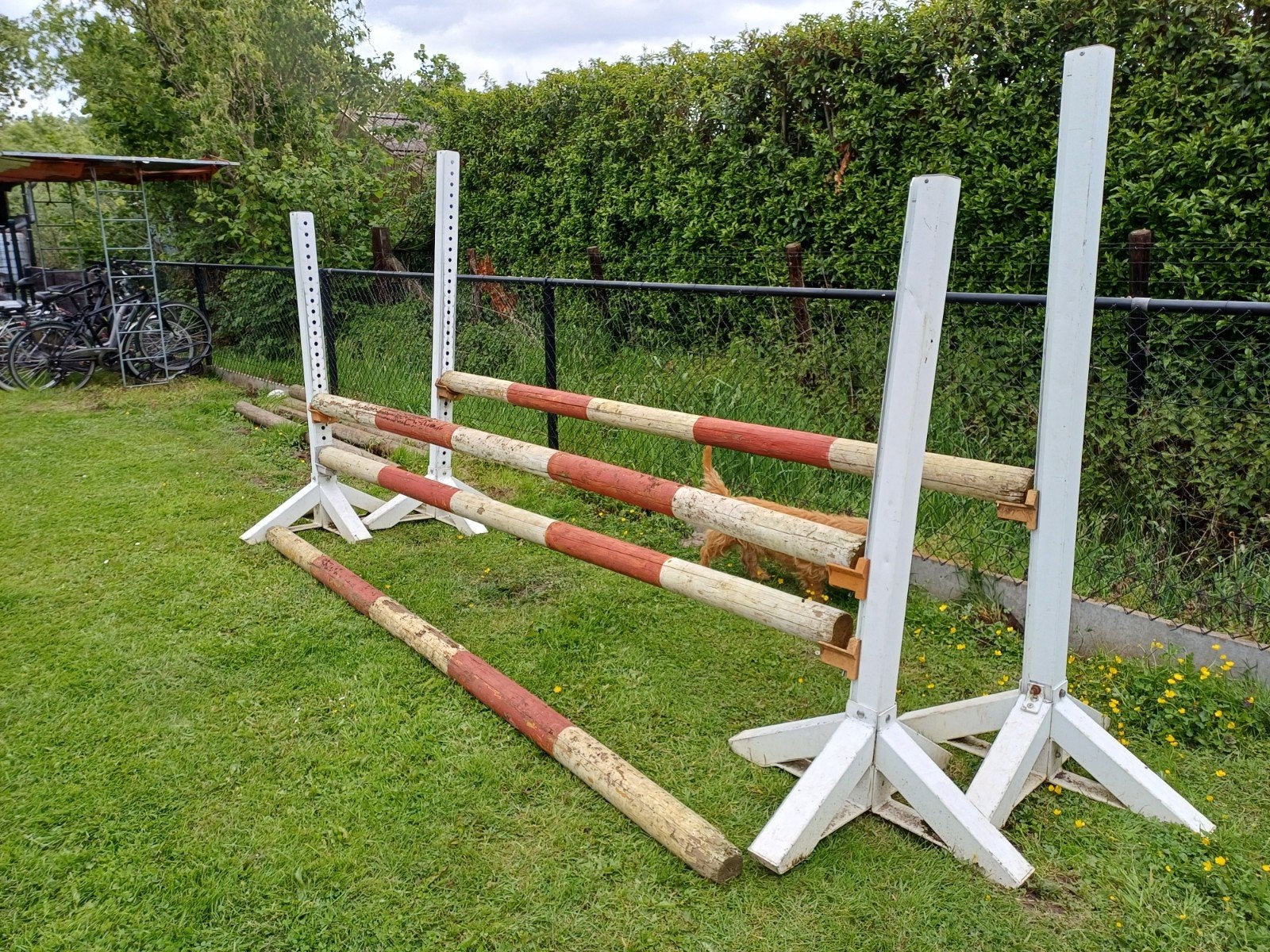 Hindernis paarden, Ophalen