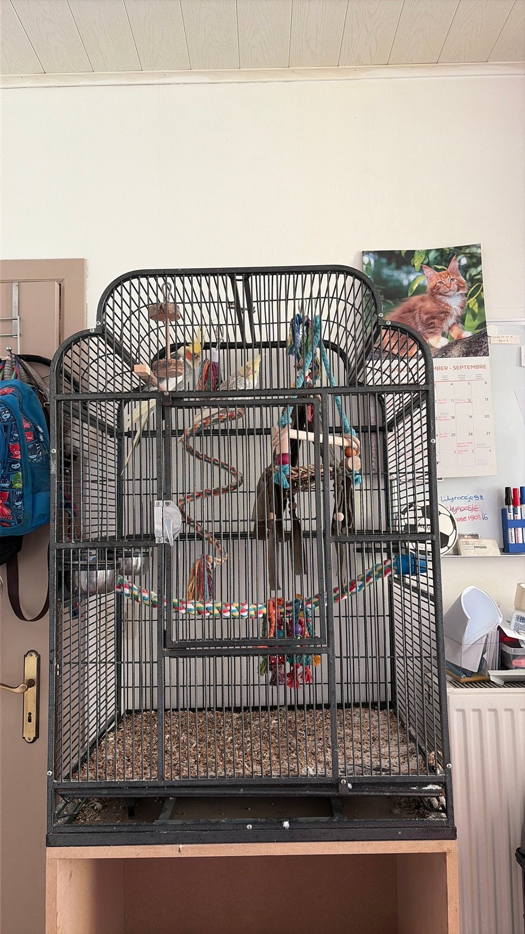 Vogel kooi met 2 valparkieten, Dieren en Toebehoren, Ophalen, Gebruikt, Metaal, Vogelkooi