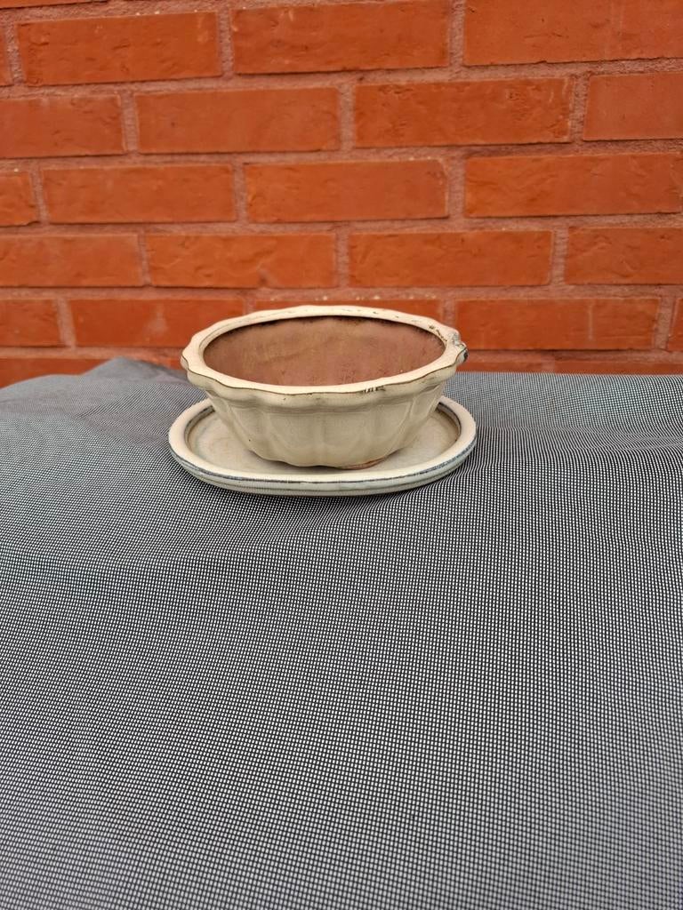 Kleine bonsaipotjes te koop – nieuw/ongebruikt, Tuin en Terras, Bloempotten, Ophalen
