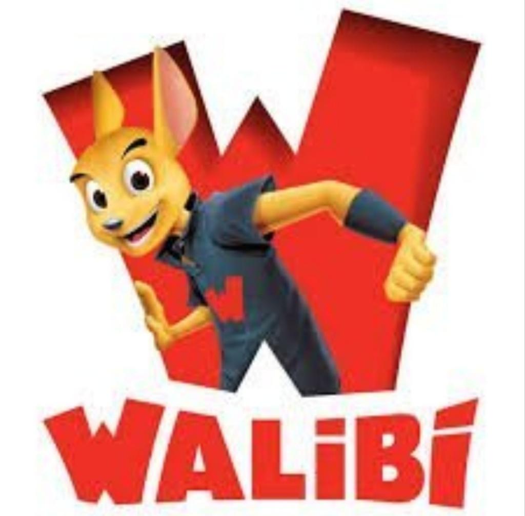 Ticket Walibi, Eén persoon, Ticket of Toegangskaart