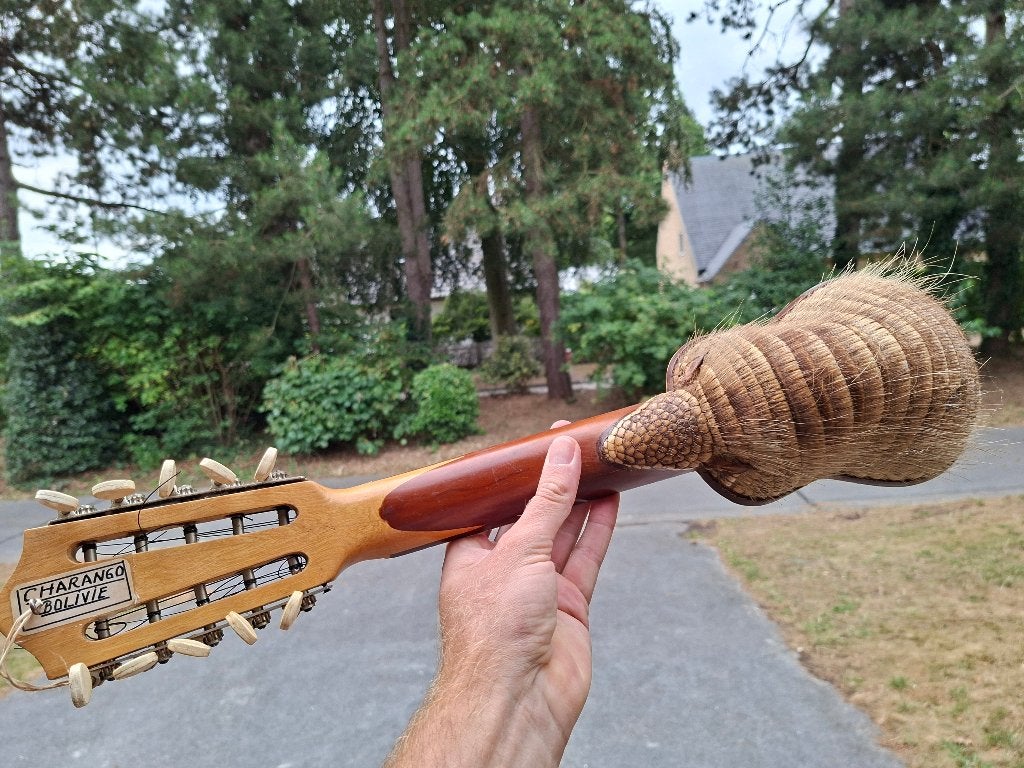 Charango uit Bolivia, Enlèvement, Neuf, Guitare classique ou espagnole