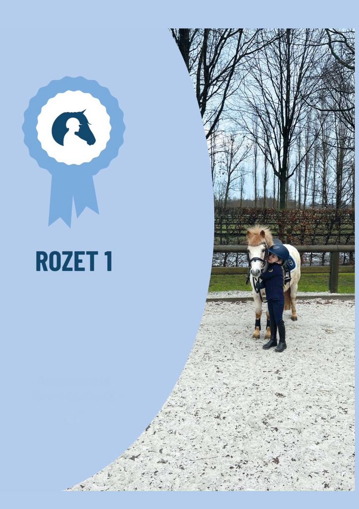 Ruiterbrevetten rozet 1 SAMENVATTING, Boeken, Studieboeken en Cursussen, Nieuw, Niet van toepassing, Ophalen of Verzenden