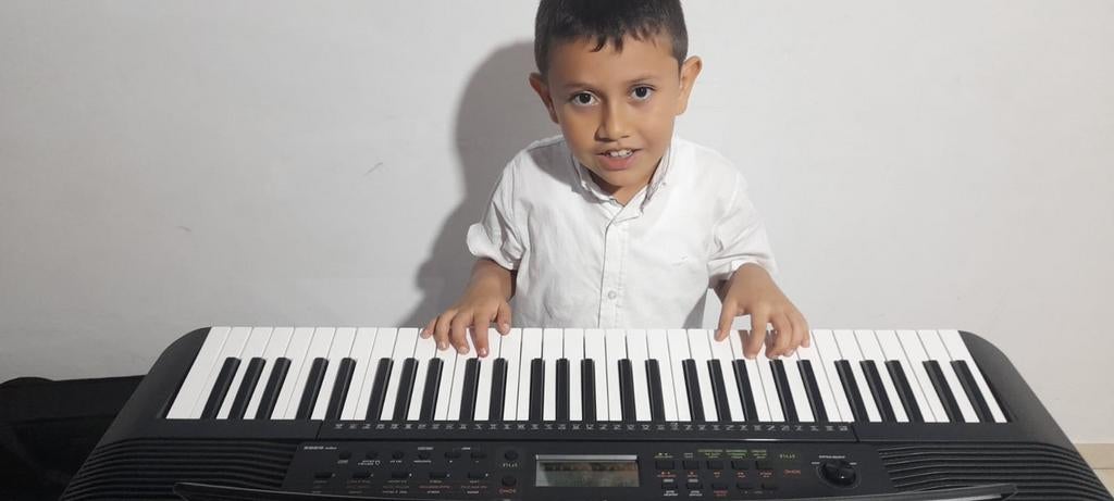 Les van piano en blaasinstrumenten, Enlèvement ou Envoi