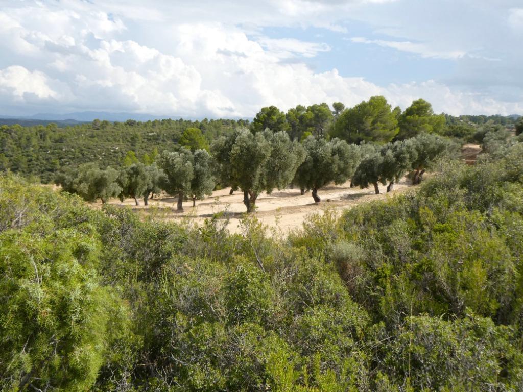 Finca à Calaceite (Aragon, Espagne) - 1089, Immo, Autres types, Espagne, Campagne