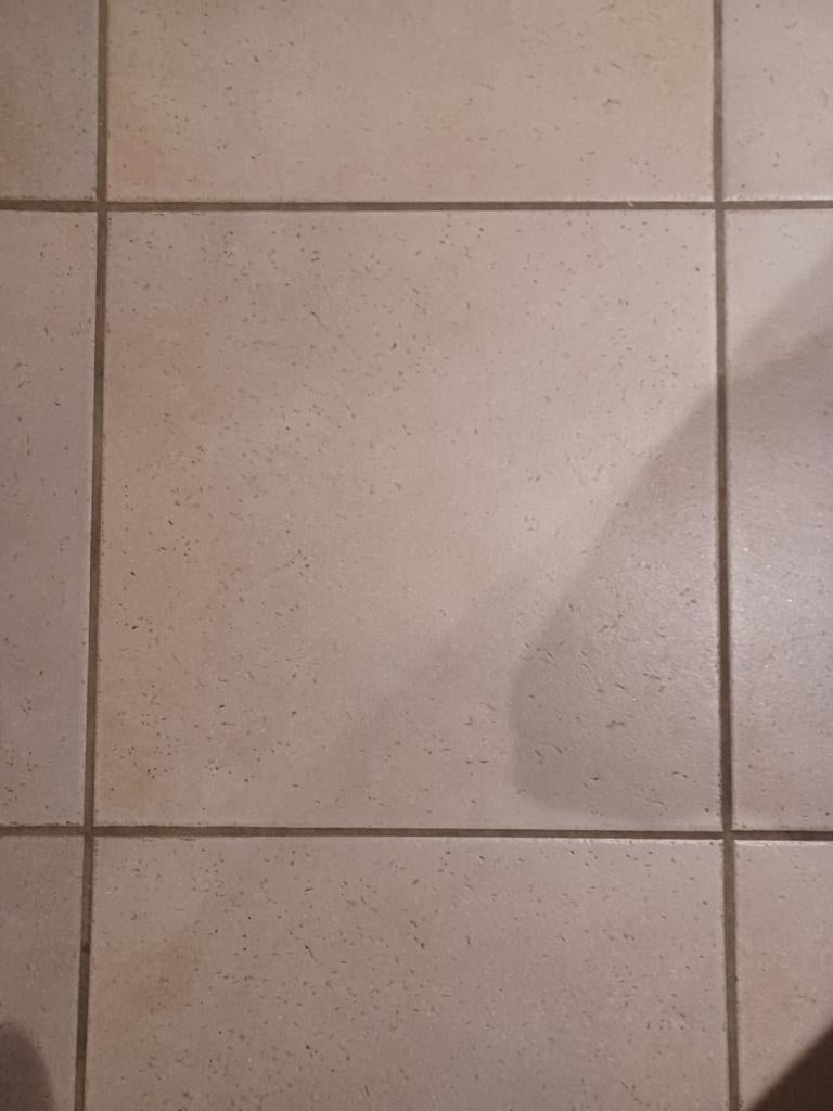 Vloertegel gezocht, Doe-het-zelf en Bouw, Tegels, Ophalen, Zo goed als nieuw, Vloertegels