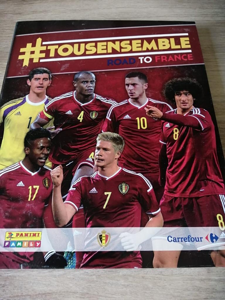 Rode Duivels verzamelkaften Carrefour Panini, 1980 à nos jours, Enlèvement ou Envoi, Photo, Comme neuf