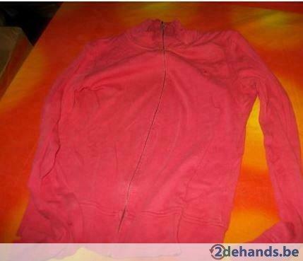 [554]trui edc lichtrood small dames, Ophalen of Verzenden, Maat 36 (S), Rood, Gedragen
