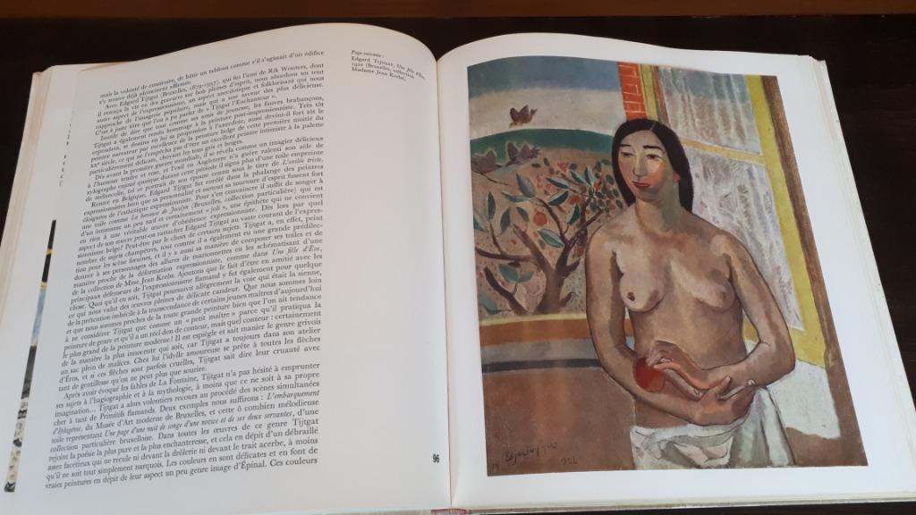 La Peinture Moderne en Belgique, M. Eemans, Meddens 1969, Gelezen, Ophalen of Verzenden, Eemans, Schilder- en Tekenkunst